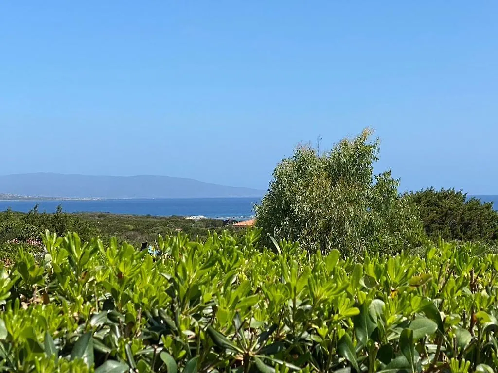 Appartamento Sole e Mare Stintino Casa vacanze
