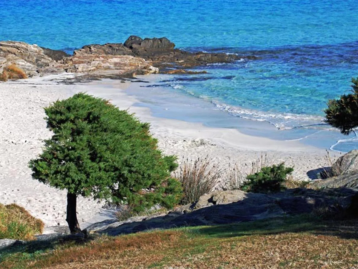 Appartamento Sole e Mare Stintino Casa vacanze
